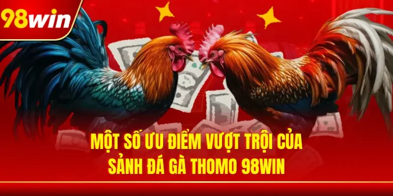 Một số ưu điểm vượt trội của sảnh đá gà Thomo 98WIN